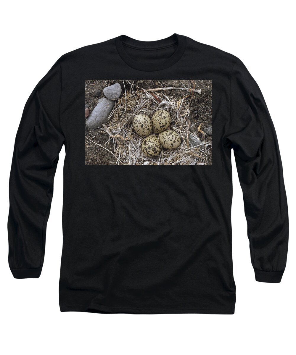 Feb0514 Long Sleeve T-Shirt featuring the photograph Semipalmated Plover Eggs In Nest Alaska by Michael Quinton