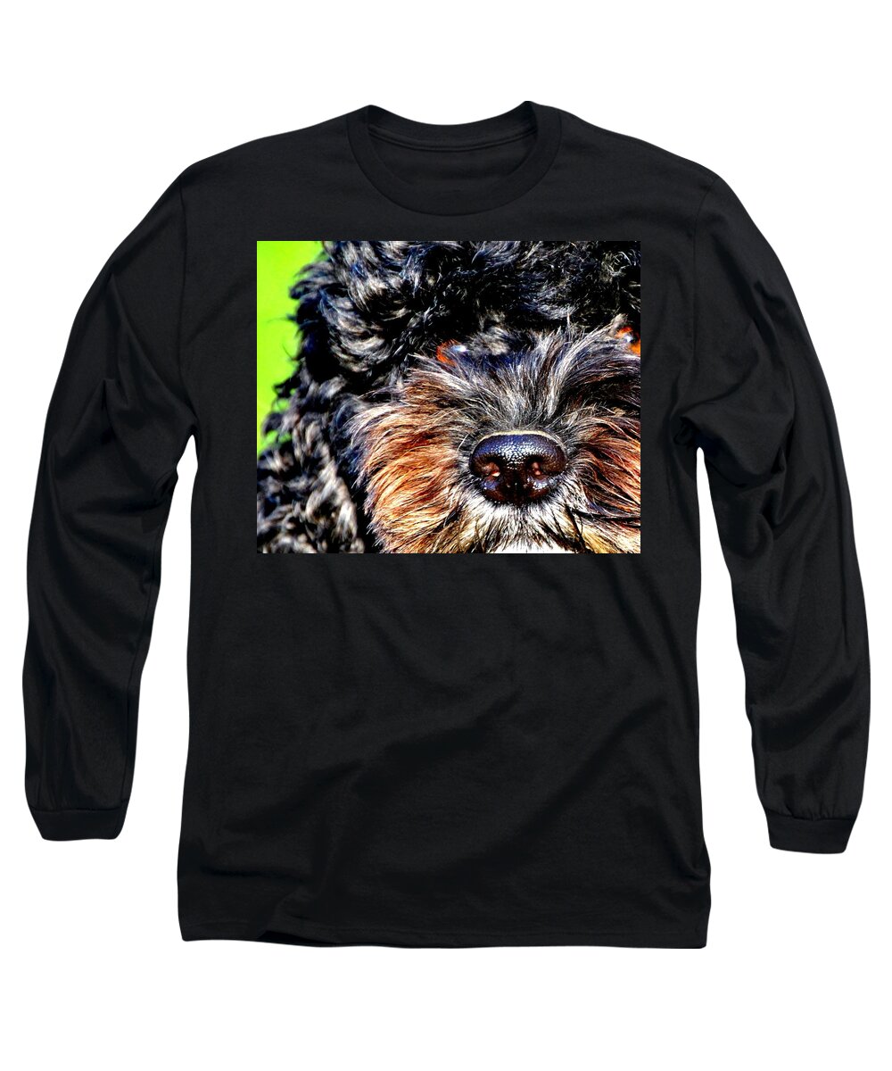 Dog Long Sleeve T-Shirt featuring the photograph Shaggy Black Dog by Marysue Ryan