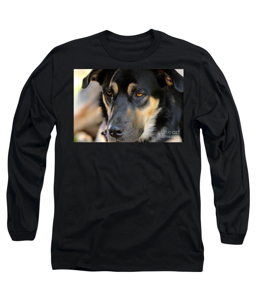 Dog Long Sleeve T-Shirt featuring the photograph Shepherd Face by Janice Byer