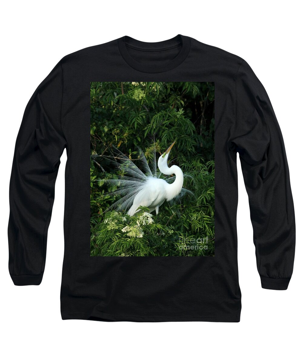 Great White Egret Long Sleeve T-Shirt featuring the photograph Showy Great White Egret by Sabrina L Ryan