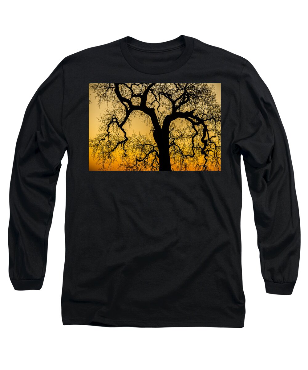 Oak Tree Long Sleeve T-Shirt featuring the photograph Silhouette Oak by Spencer Hughes