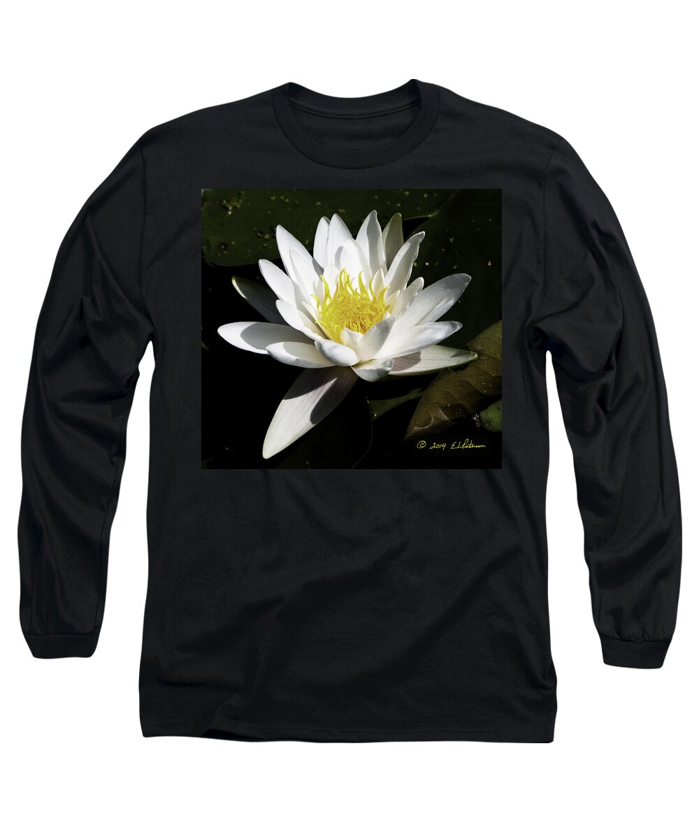 Heron Heaven Long Sleeve T-Shirt featuring the photograph Single Water Lily by Ed Peterson