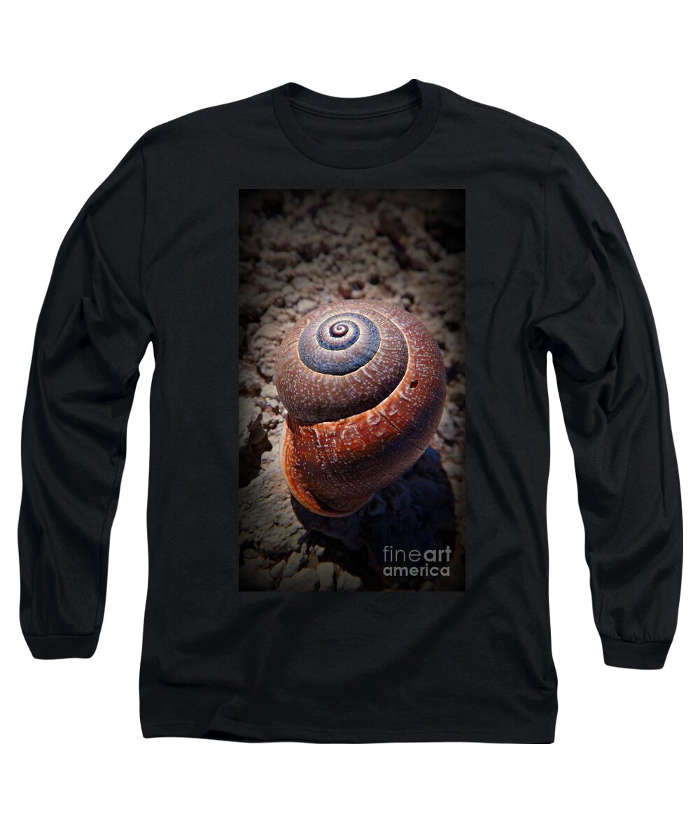 Snail Long Sleeve T-Shirt featuring the photograph Snail Beauty by Clare Bevan