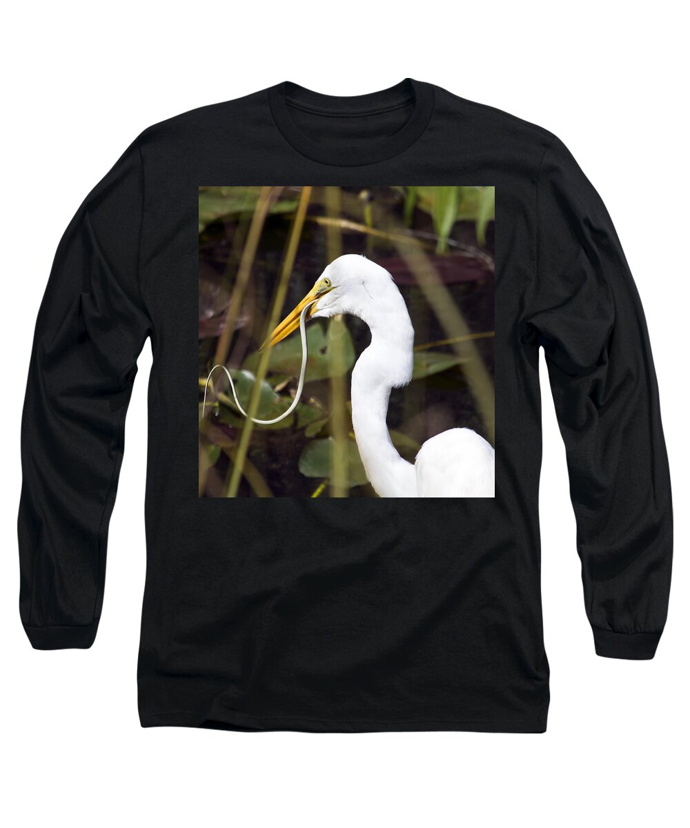 Wildlife Long Sleeve T-Shirt featuring the photograph Snake Eater by Kenneth Albin