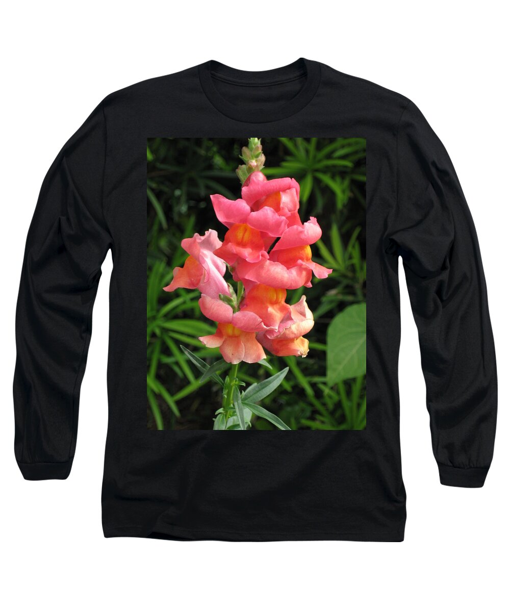 Cute Long Sleeve T-Shirt featuring the photograph Snapdragon by Ron Monsour