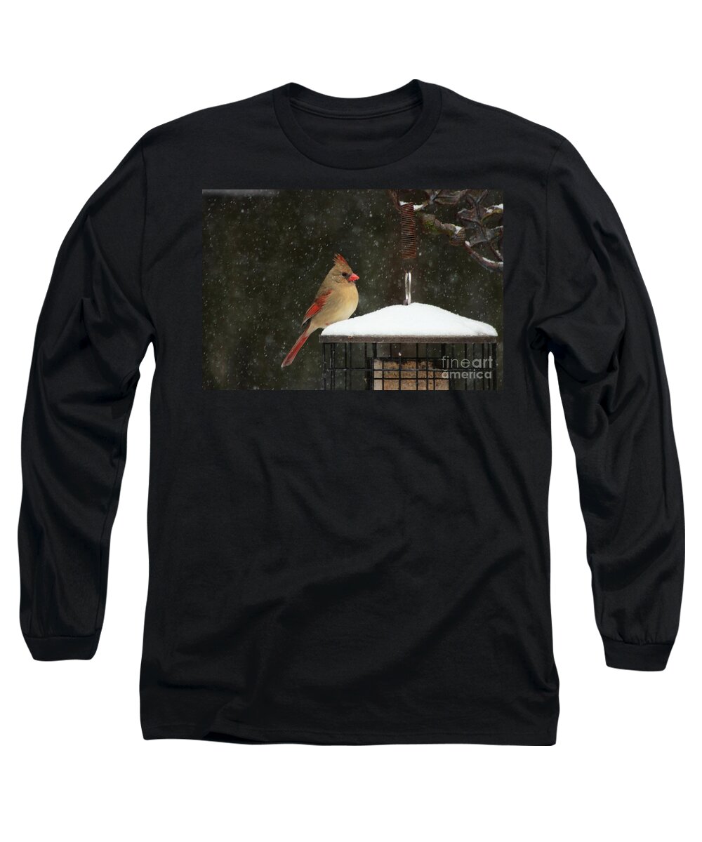 Female Northern Cardinal Long Sleeve T-Shirt featuring the photograph Snowy Cardinal by Benanne Stiens