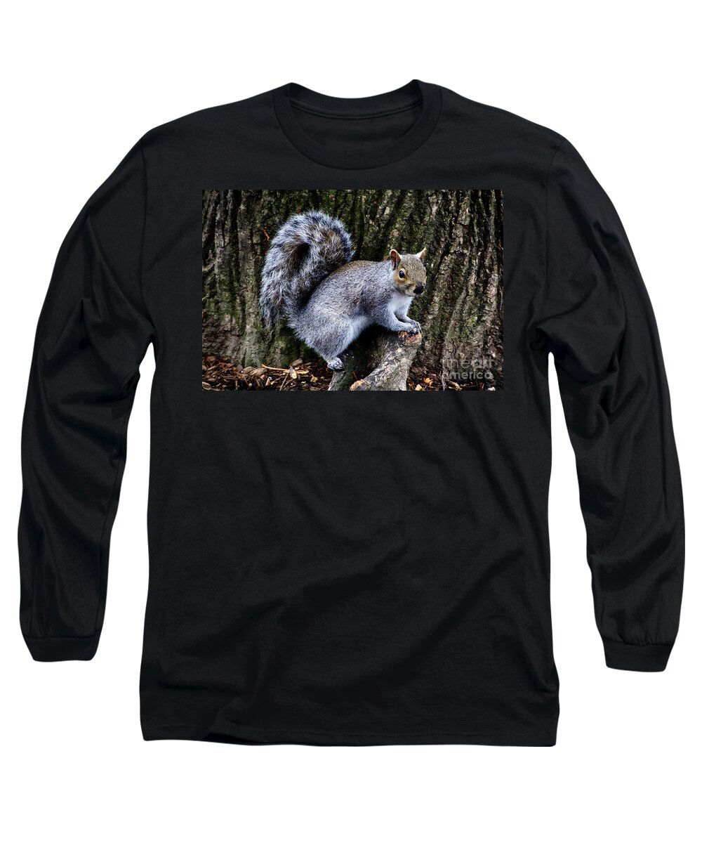 Squirrel Long Sleeve T-Shirt featuring the photograph Squirrel in the Park-Boston V9 by Douglas Barnard