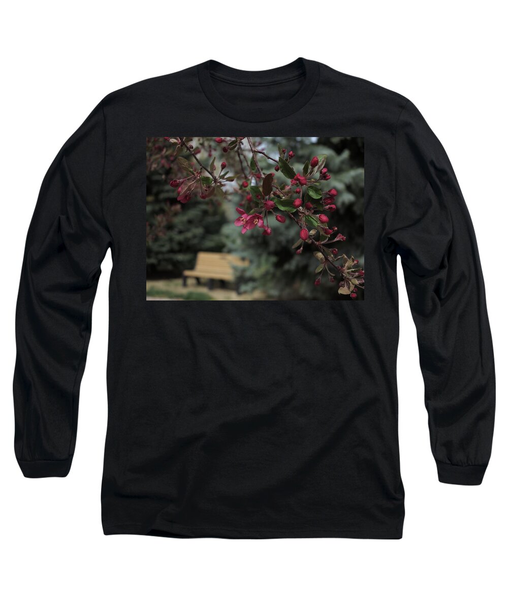 Spring Flowers Long Sleeve T-Shirt featuring the photograph Stay a while by Jessica Myscofski