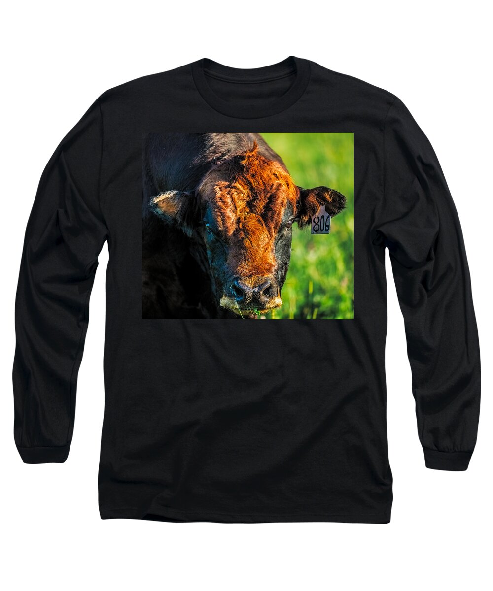 Animal Long Sleeve T-Shirt featuring the photograph Sunset On 806 by Paul Freidlund