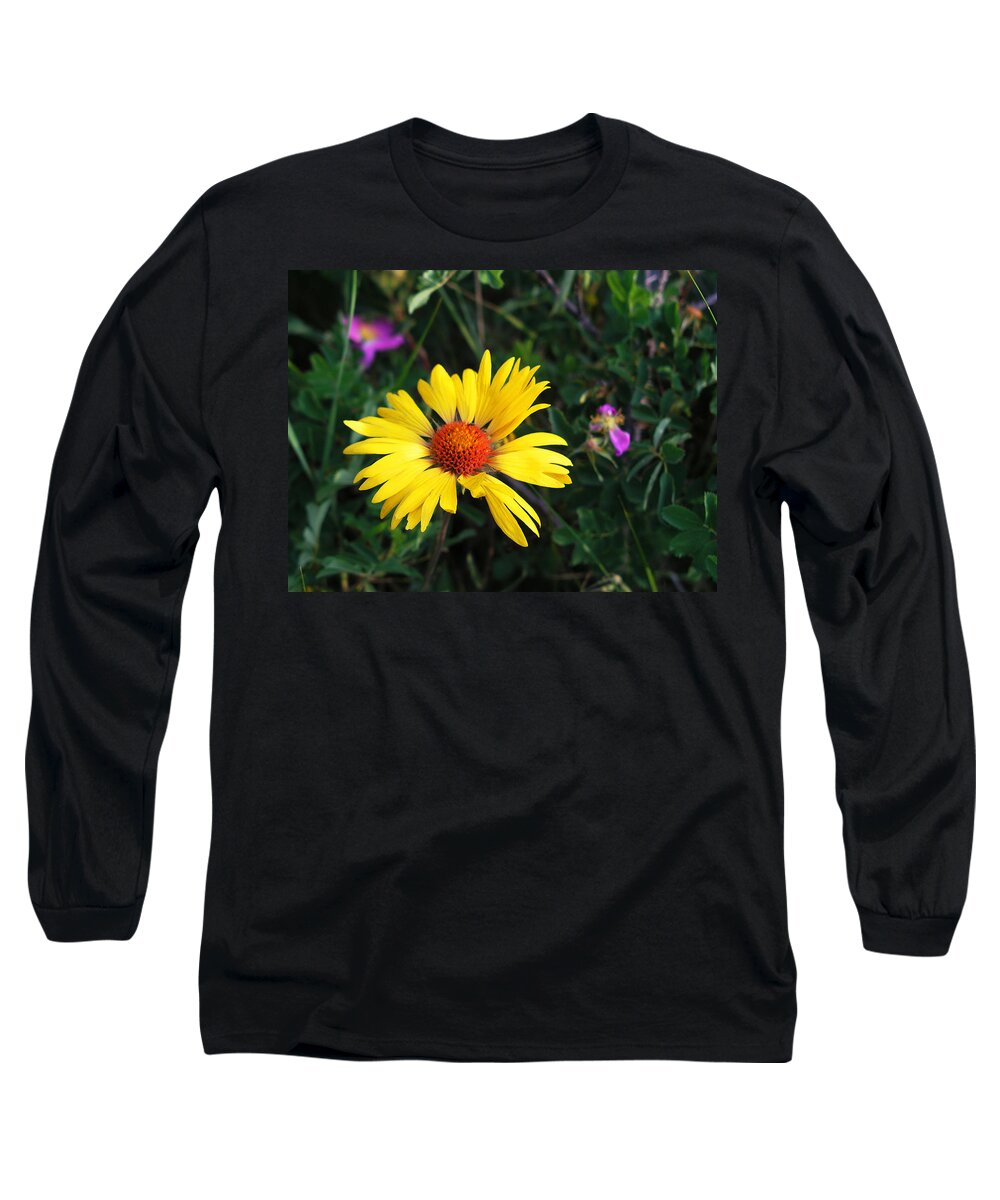 Flowers Long Sleeve T-Shirt featuring the photograph Sunshine by Craig Burgwardt