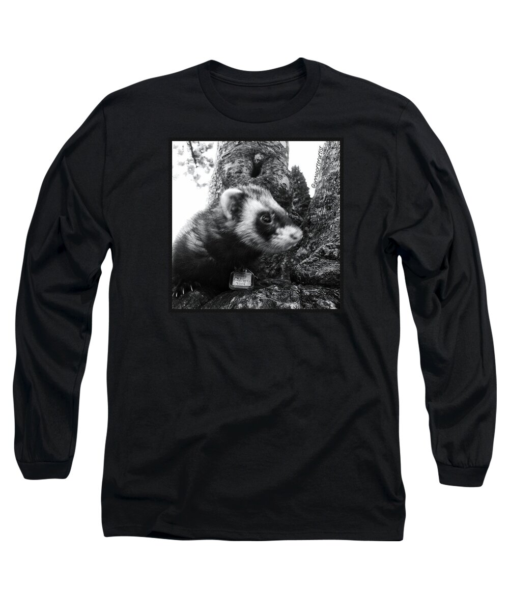 Sweet Little Nicky Chillin In A Tree Long Sleeve T-Shirt featuring the photograph Sweet Little Nicky Chillin in a Tree by Anna Porter