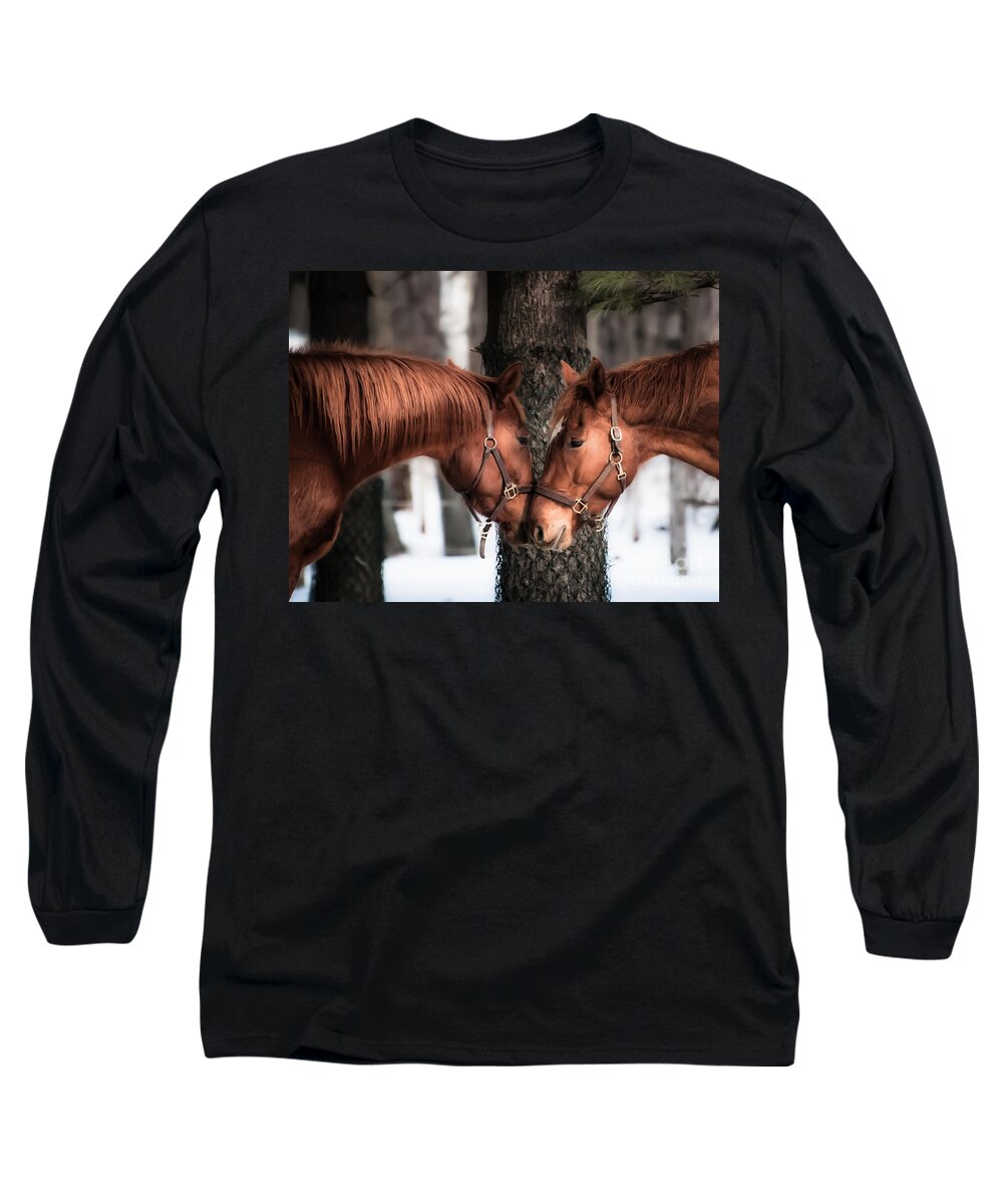 Horse Long Sleeve T-Shirt featuring the photograph Tenderness by Bianca Nadeau