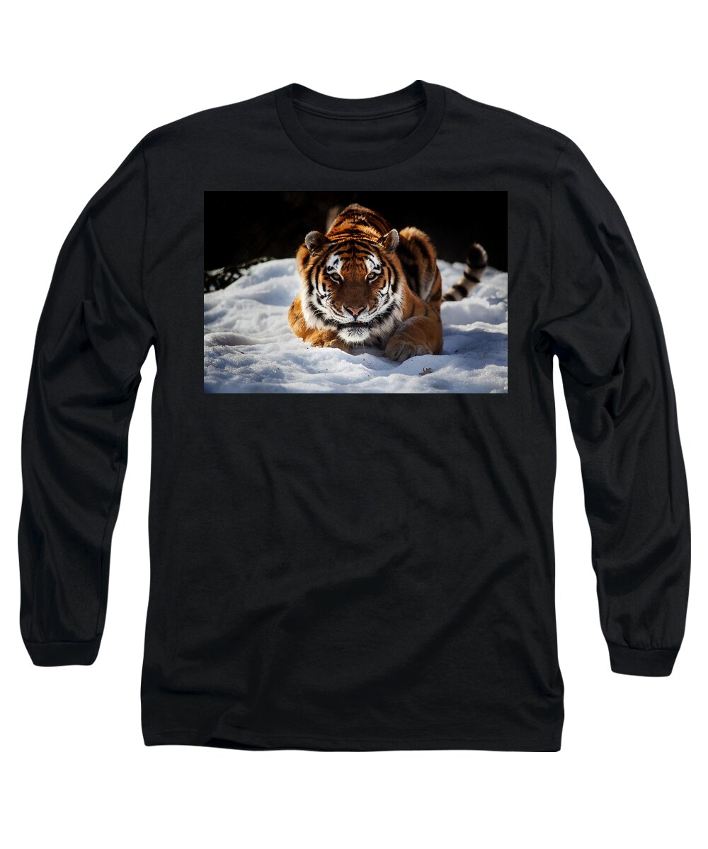 Tiger Long Sleeve T-Shirt featuring the photograph The Amur Tiger by Karol Livote