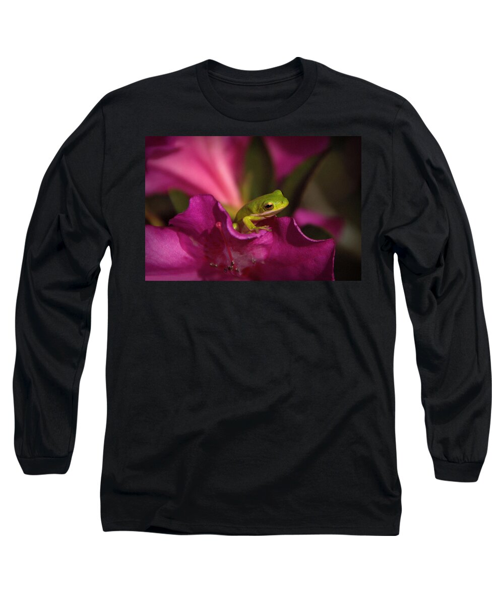 Frog Long Sleeve T-Shirt featuring the photograph The Azalea Bed by Charlotte Schafer