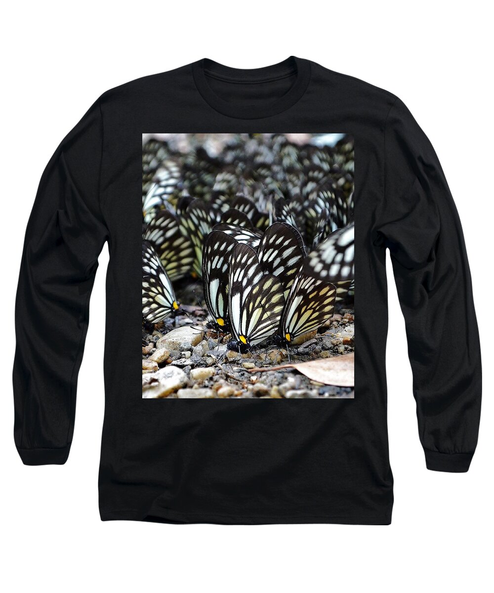 Butterfly Long Sleeve T-Shirt featuring the photograph The Butterfly Gathering 2 by Kim Bemis