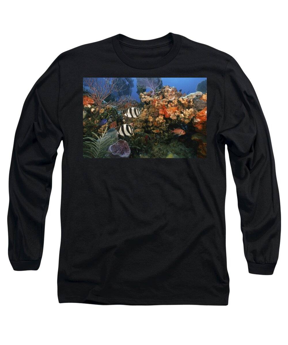 Angle Long Sleeve T-Shirt featuring the photograph The Butterflyfish on Reef by Sandra Edwards