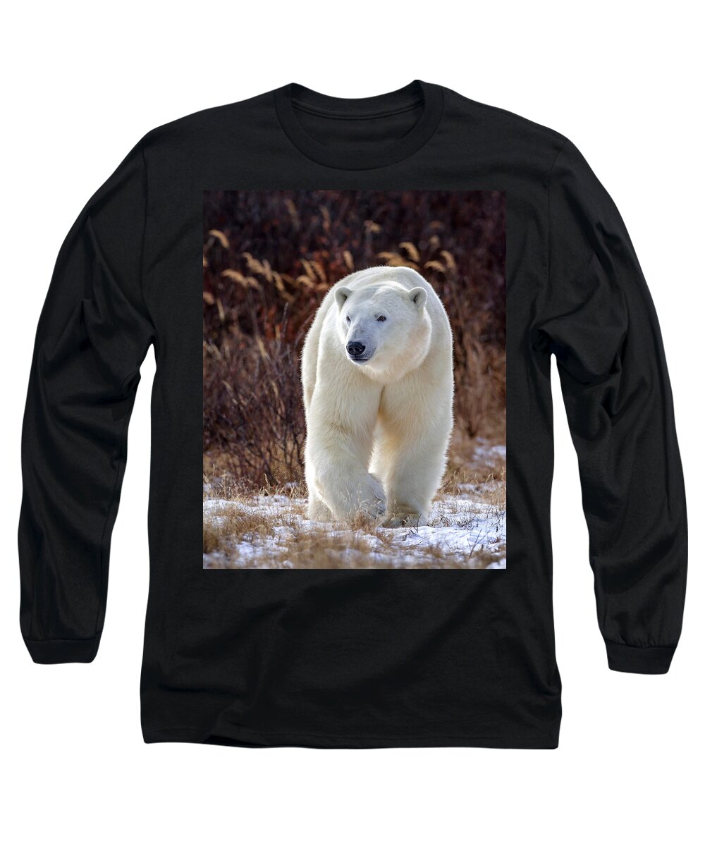 Polar Bear Long Sleeve T-Shirt featuring the photograph The Great White Bear by Jack Bell