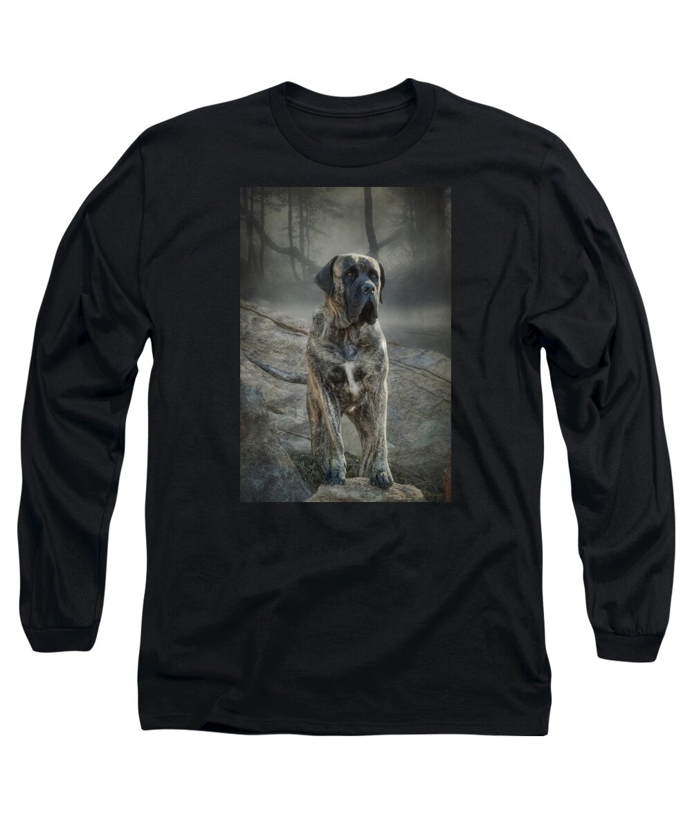 Mastiff Long Sleeve T-Shirt featuring the photograph The Mastiff by Fran J Scott