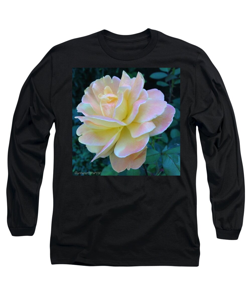 Glowing Long Sleeve T-Shirt featuring the photograph The Rose For A Rose Is A Rose Is A Rose by Anna Porter