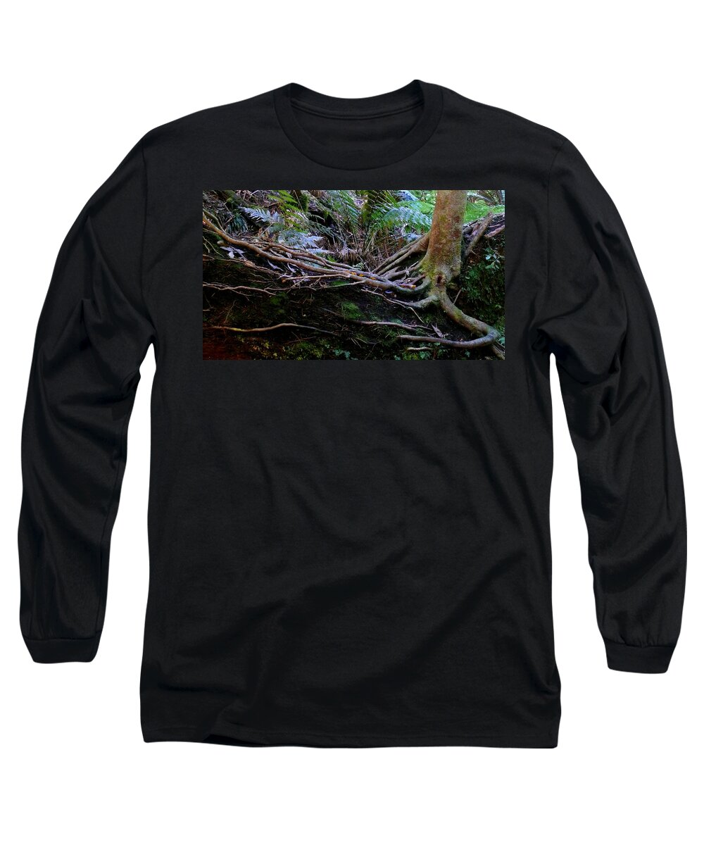 Tree Long Sleeve T-Shirt featuring the photograph The Salamander Tree by Evelyn Tambour
