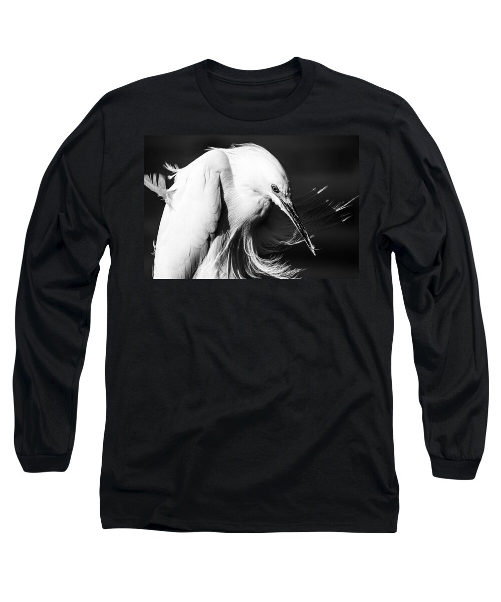Snowy Egret Long Sleeve T-Shirt featuring the photograph The Thinker by Ben Graham