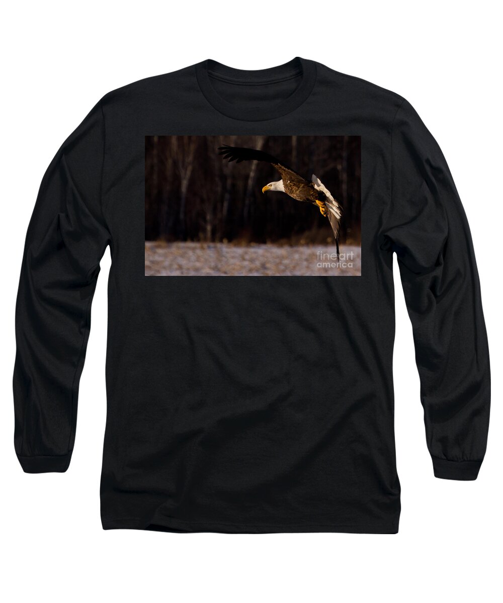 Eagle Long Sleeve T-Shirt featuring the photograph The Turn by Jan Killian