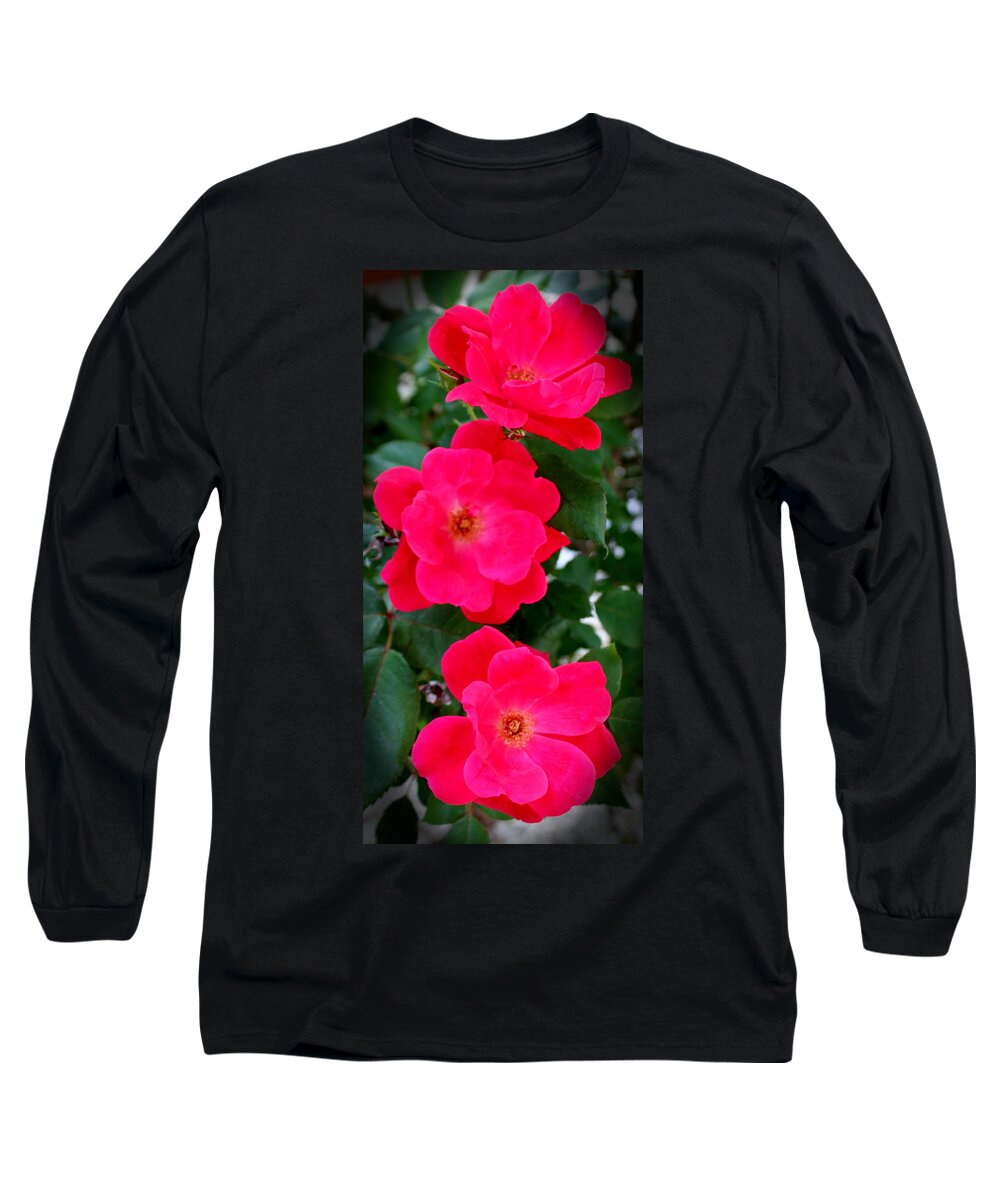 Rose Long Sleeve T-Shirt featuring the photograph Three Flowers by Cynthia Guinn