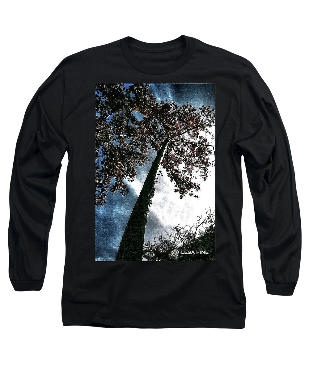 Tree Long Sleeve T-Shirt featuring the photograph Tippy Top Tree II art by Lesa Fine