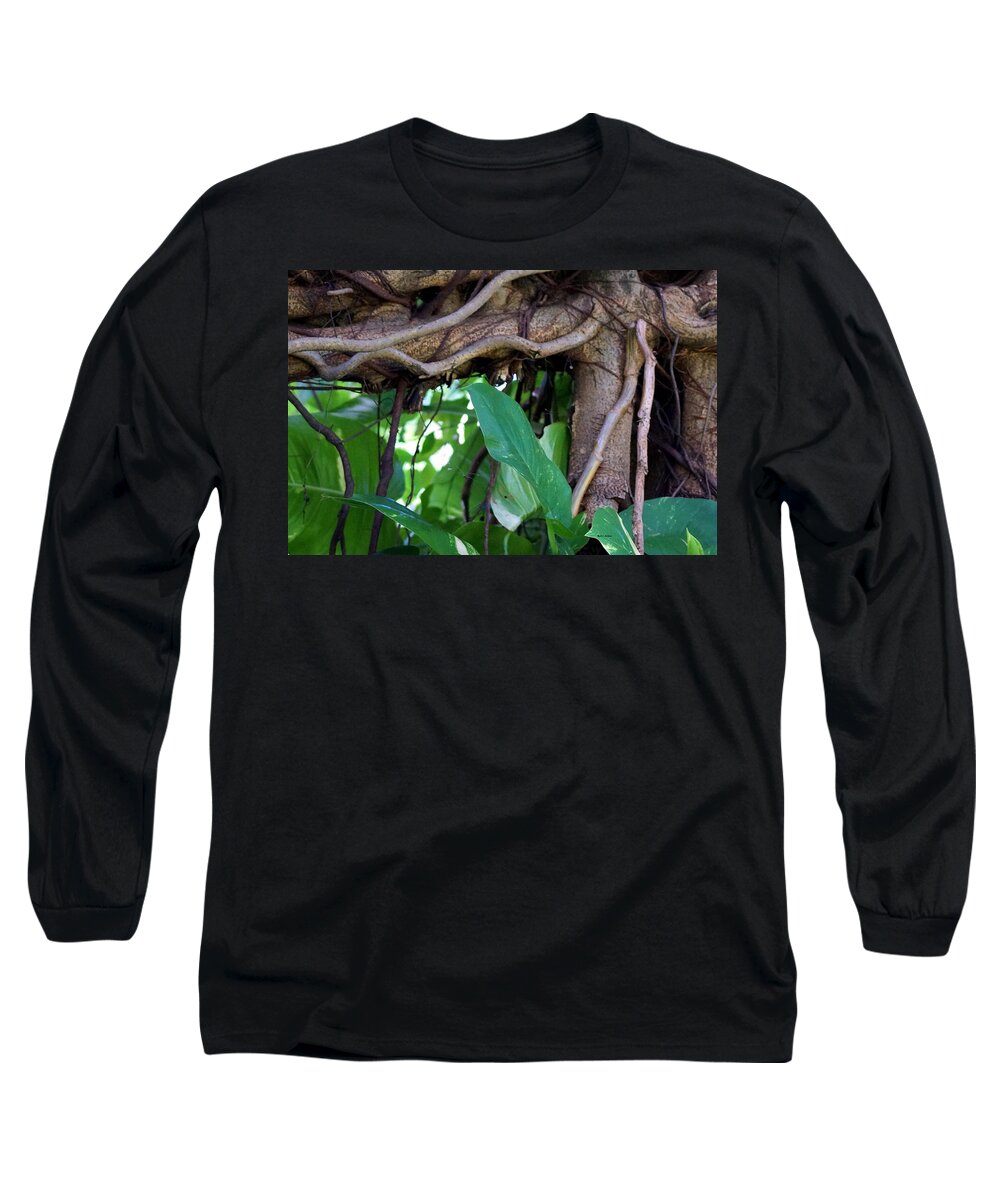 Tree Long Sleeve T-Shirt featuring the photograph Tree Branch by Rafael Salazar