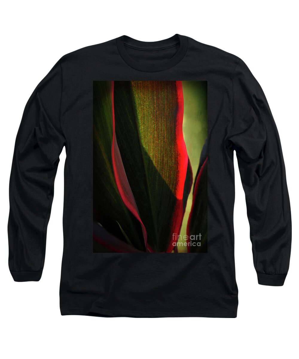 Tropical Long Sleeve T-Shirt featuring the photograph Tropical Curves by Ellen Cotton