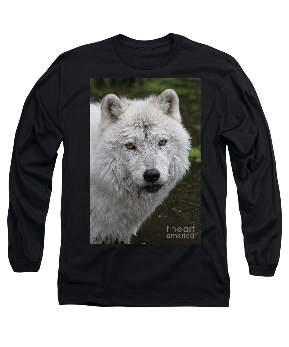 Trusting Long Sleeve T-Shirt featuring the photograph Trusting by Vicki Spindler