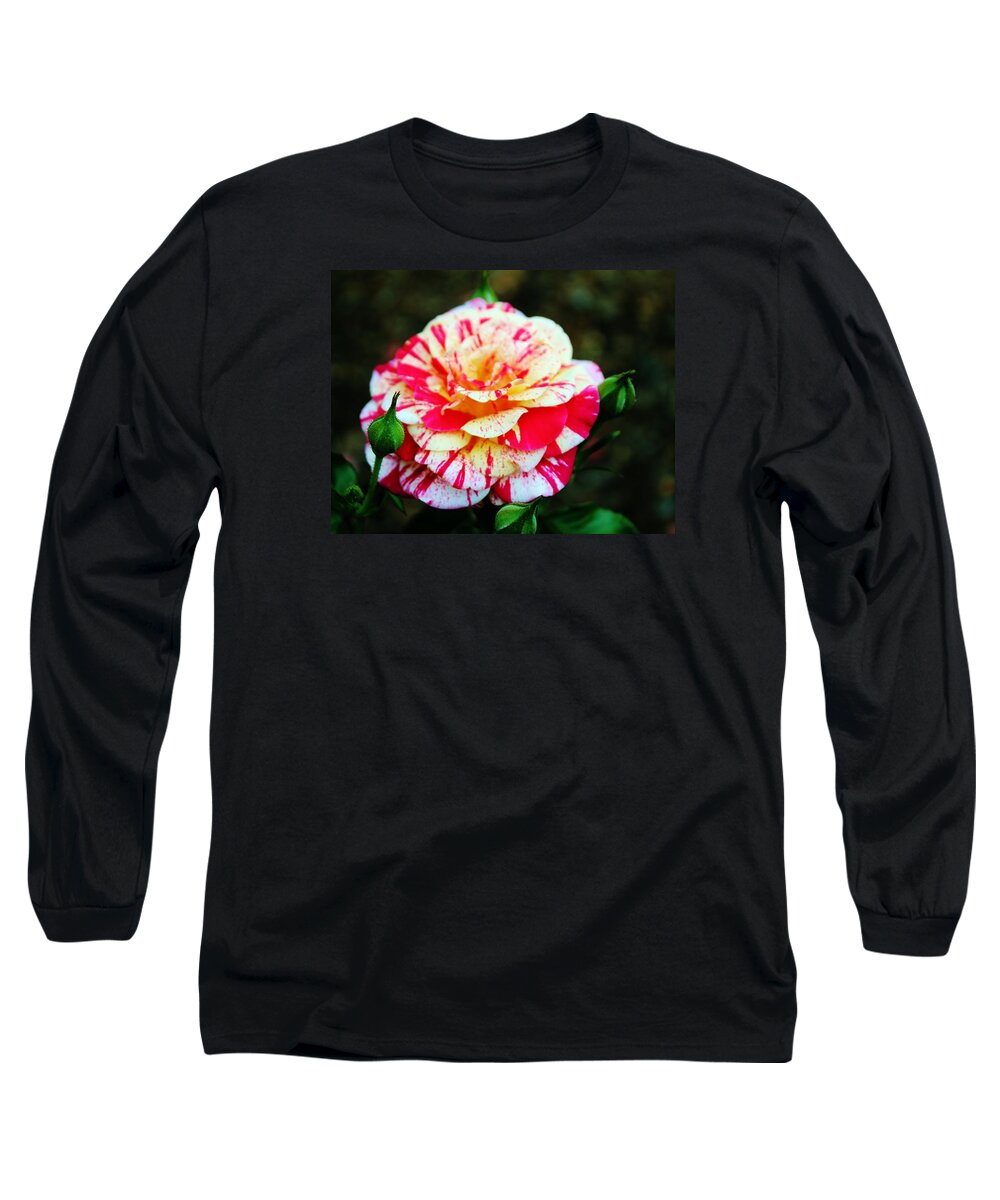 Bi Color Long Sleeve T-Shirt featuring the photograph Two Colored Rose by Cynthia Guinn