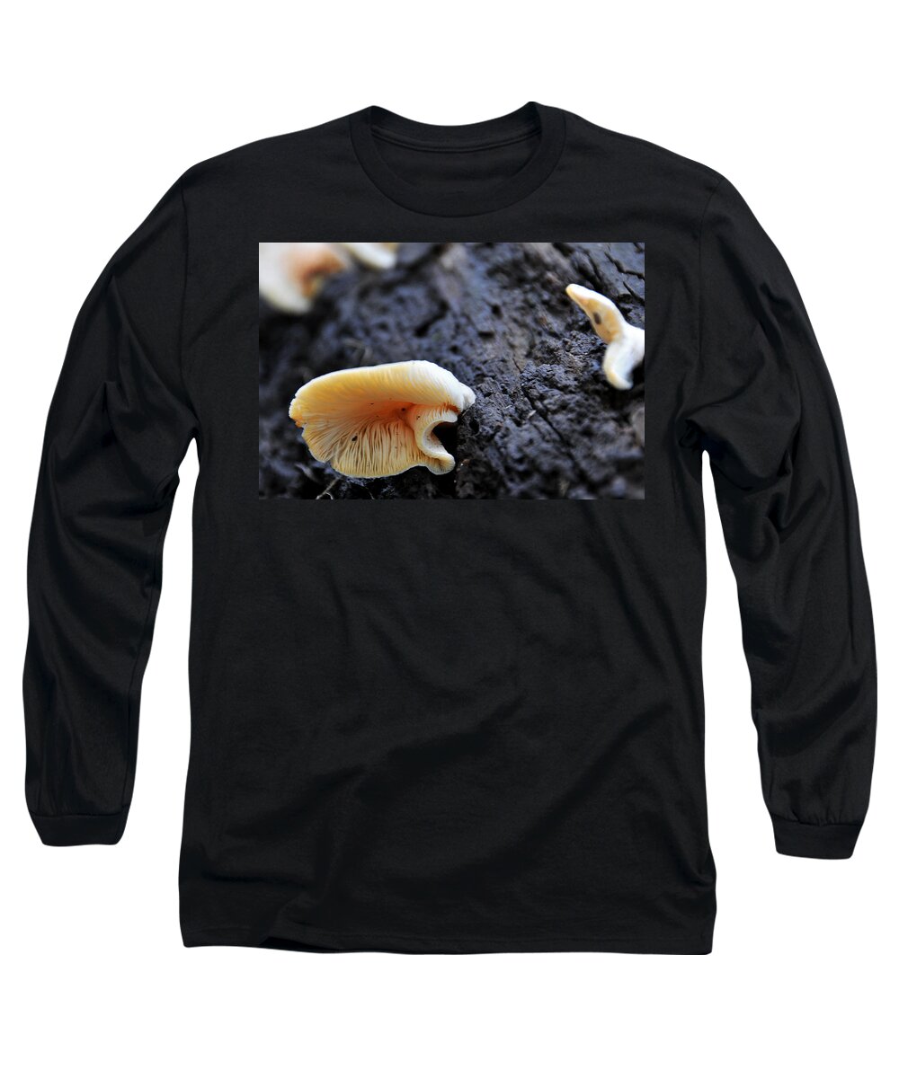 Woods Long Sleeve T-Shirt featuring the photograph It's Alive by Gene Tatroe