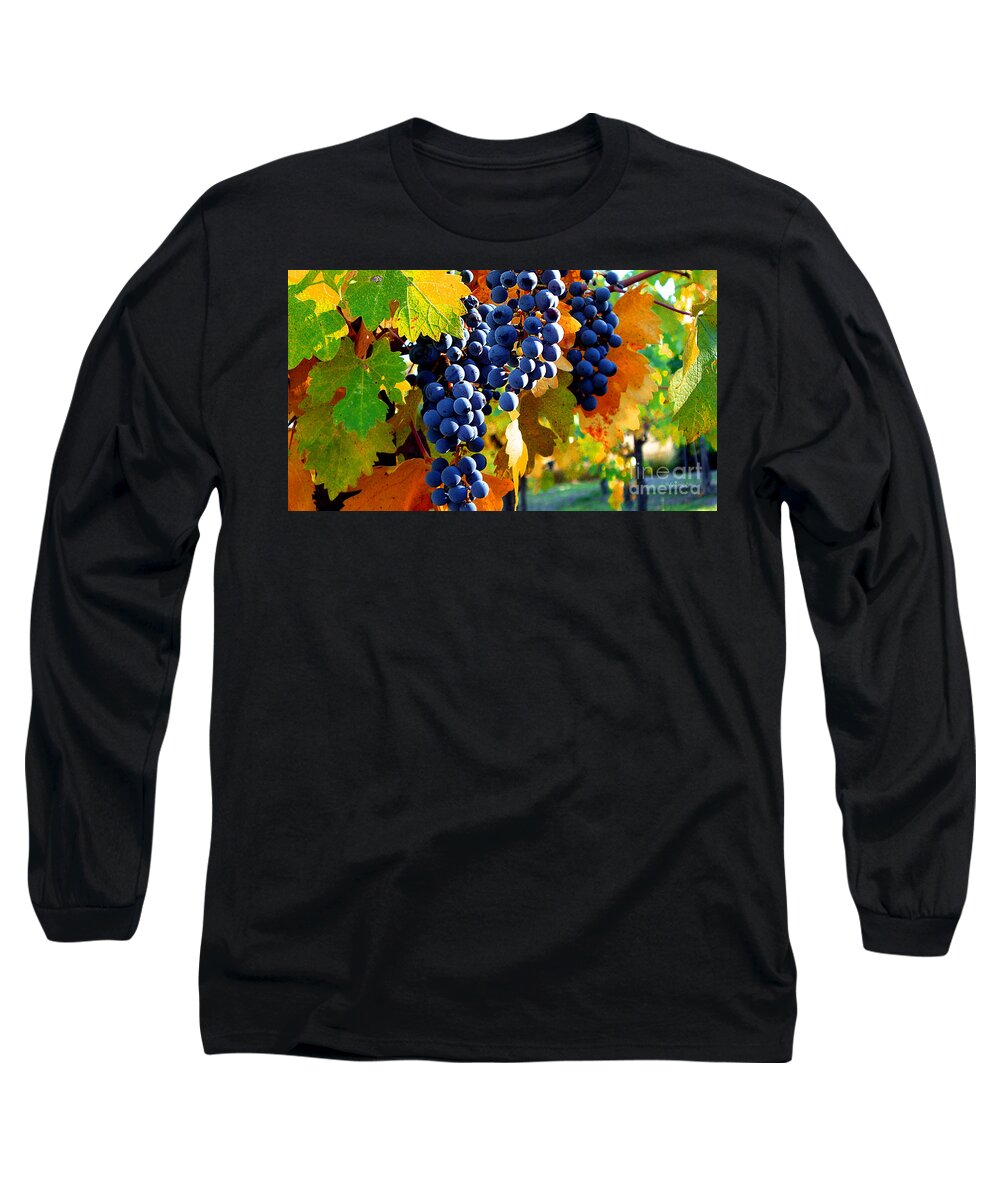 Autumn Long Sleeve T-Shirt featuring the photograph Vineyard 2 by Xueling Zou
