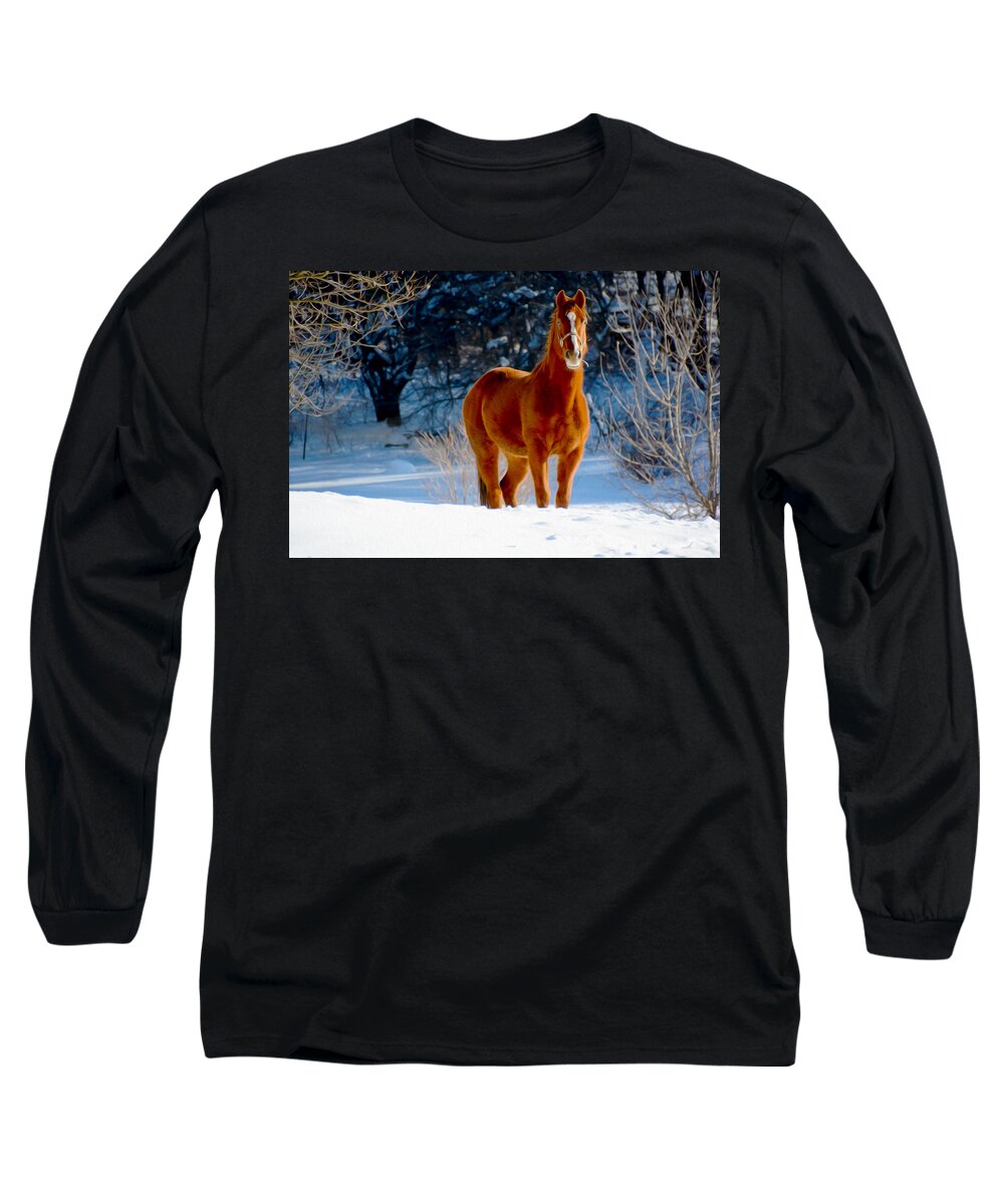 Horse Long Sleeve T-Shirt featuring the photograph Waiting For Action by Tracy Winter