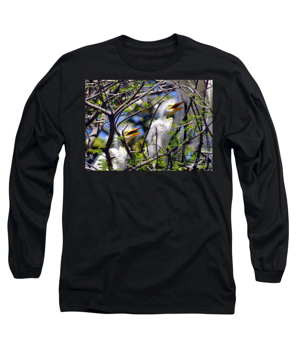 Egret Chicks Long Sleeve T-Shirt featuring the photograph We Love You Mama by Lydia Holly