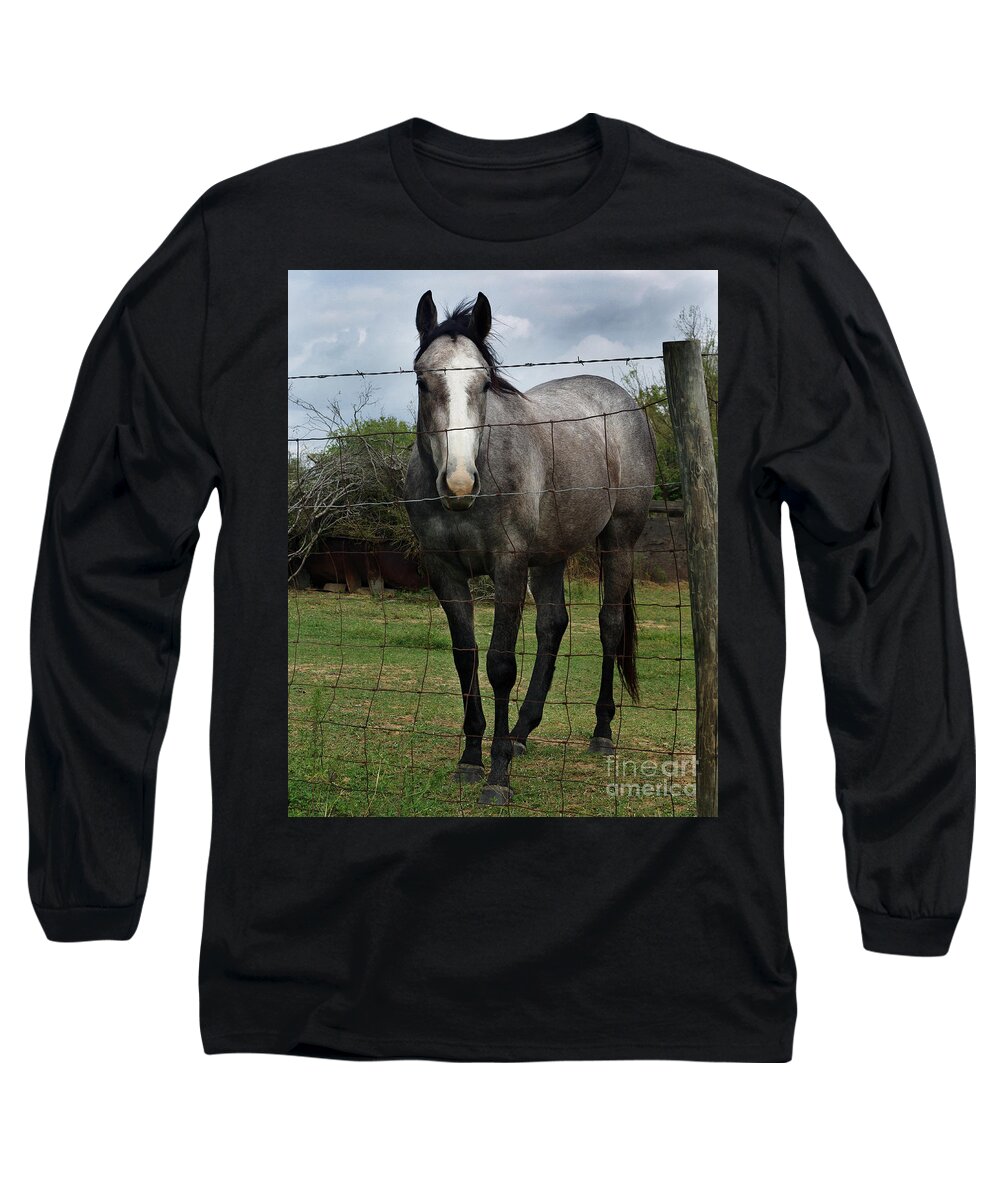 Penetrating Gaze Long Sleeve T-Shirt featuring the photograph What Are You Afraid Of by Peter Piatt