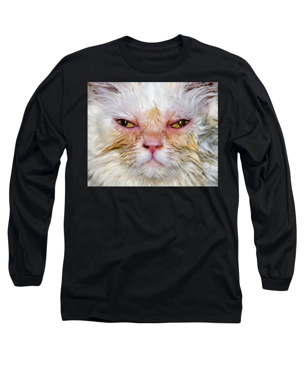 Scary Long Sleeve T-Shirt featuring the photograph Scary White Cat by Bob Slitzan