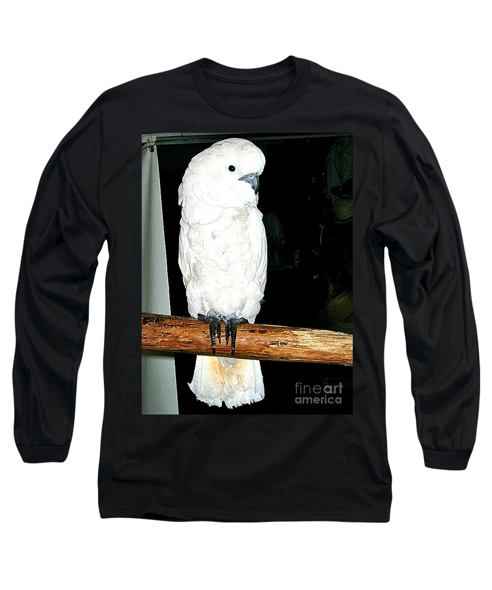 Birds Long Sleeve T-Shirt featuring the photograph White Cockatiel-loreto Mx. by Jay Milo