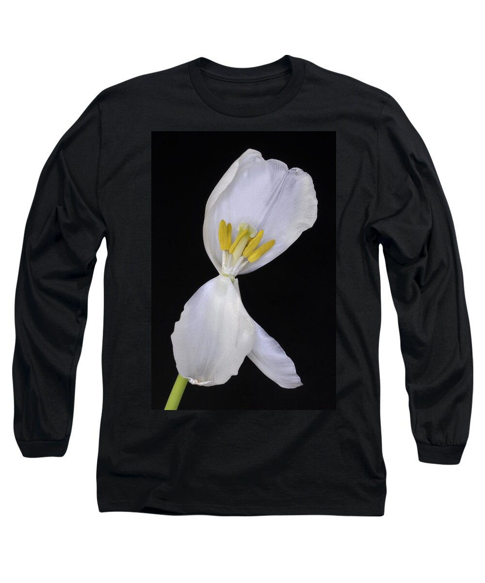 Flower Long Sleeve T-Shirt featuring the photograph White Tulip on Black by Phyllis Meinke