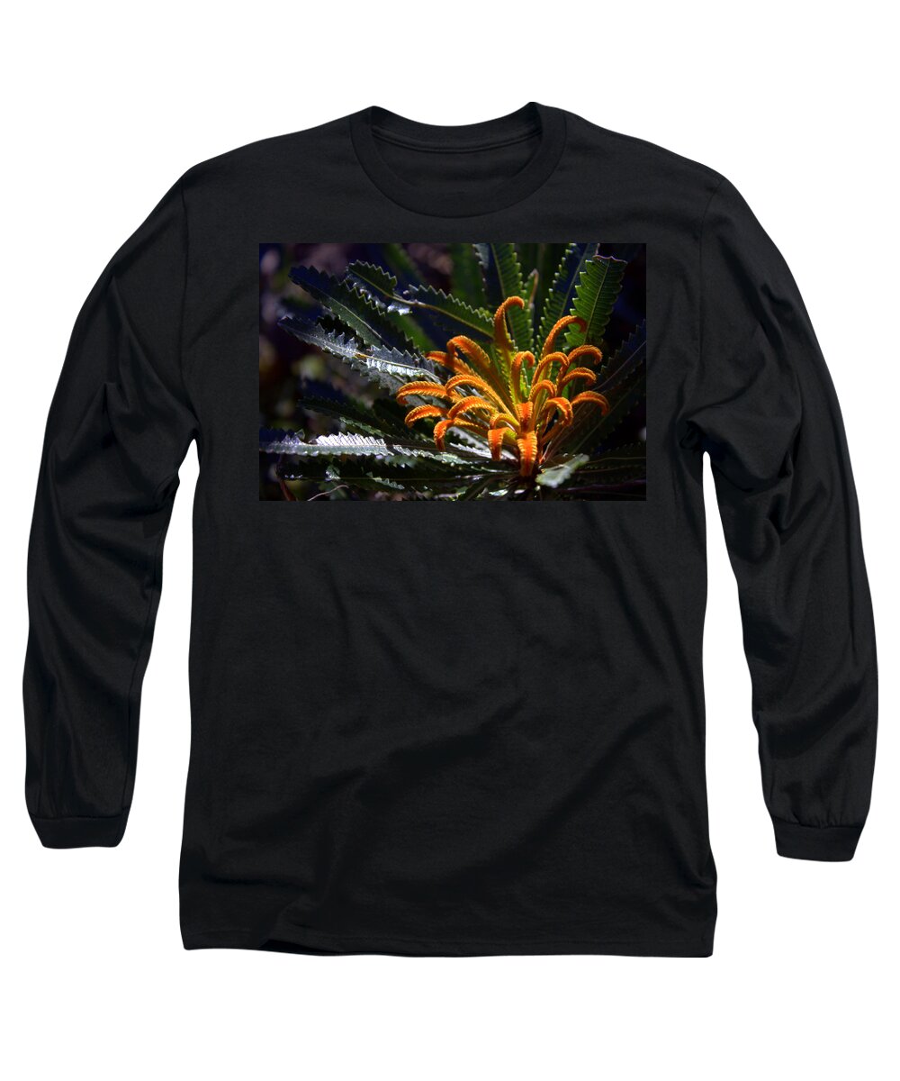 Banksia Long Sleeve T-Shirt featuring the photograph Who am I by Miroslava Jurcik