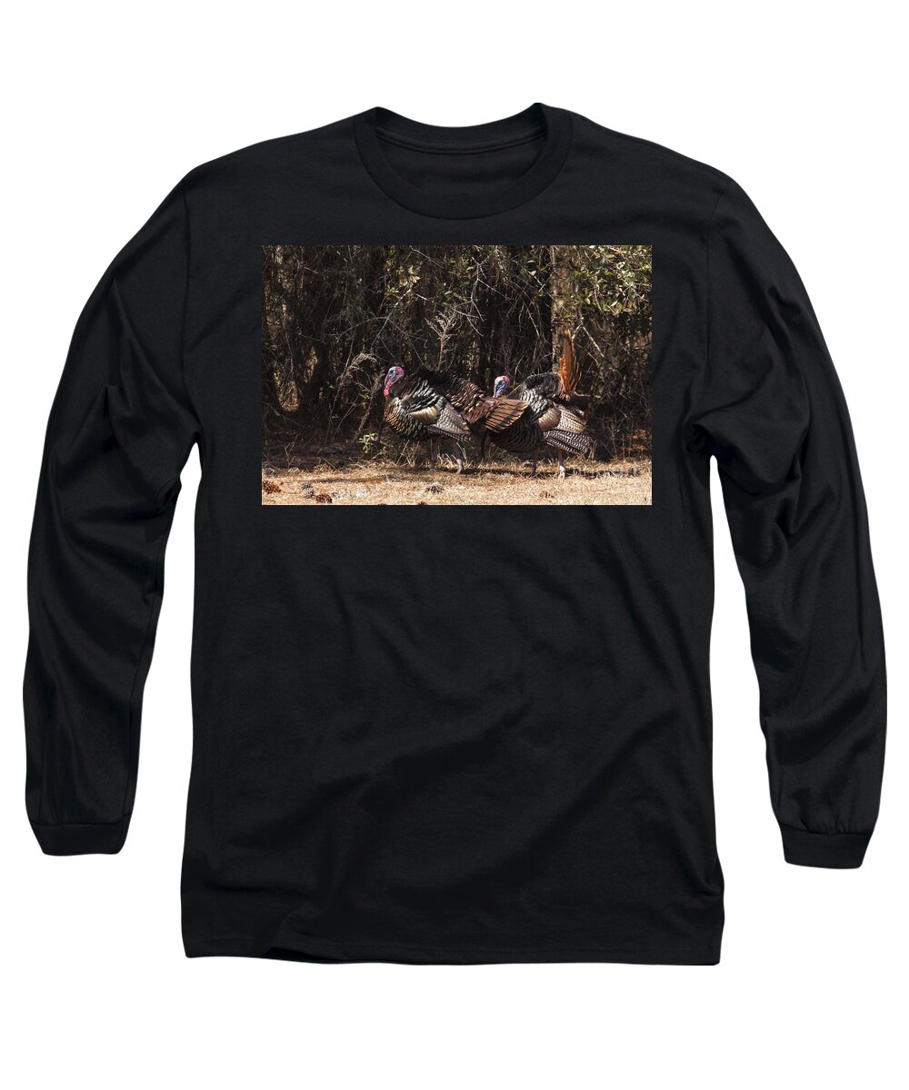 Nature Long Sleeve T-Shirt featuring the photograph Wild Turkey Gobblers by Ronald Lutz