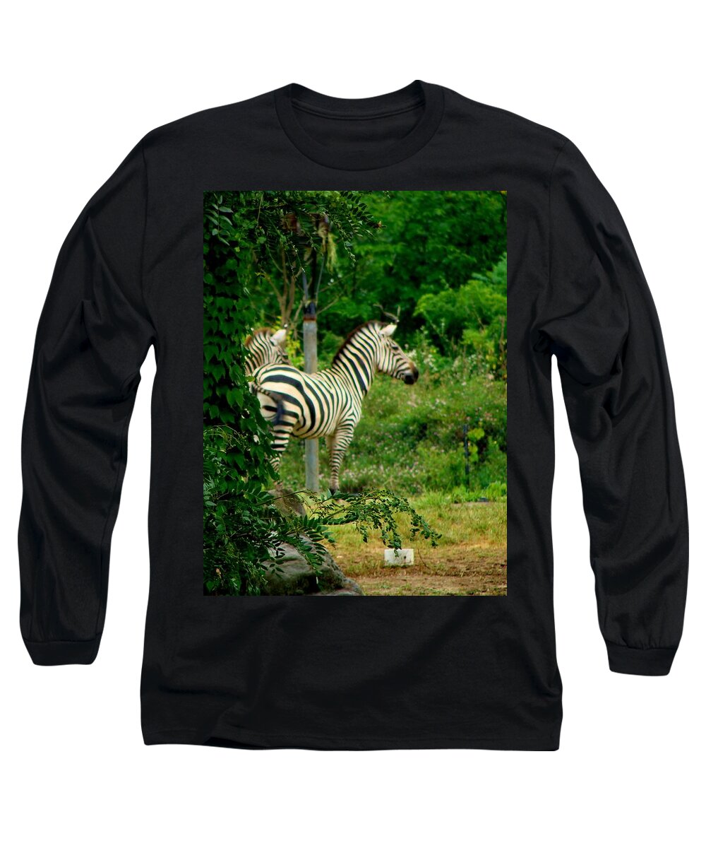 Zebras Long Sleeve T-Shirt featuring the photograph Zebras by Anthony Seeker