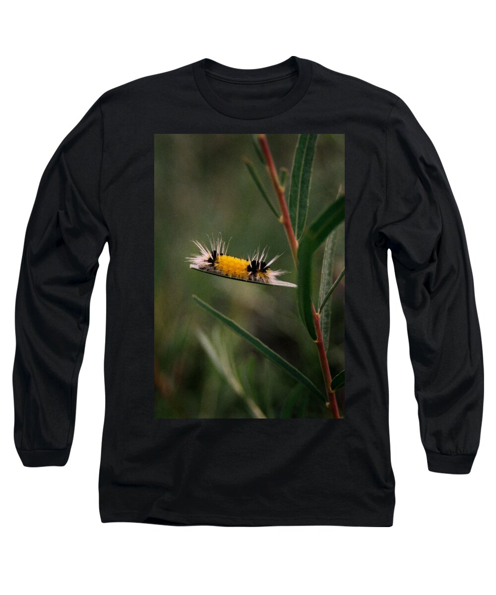 Bug Long Sleeve T-Shirt featuring the photograph Struttin Your Stuff by Ron Weathers