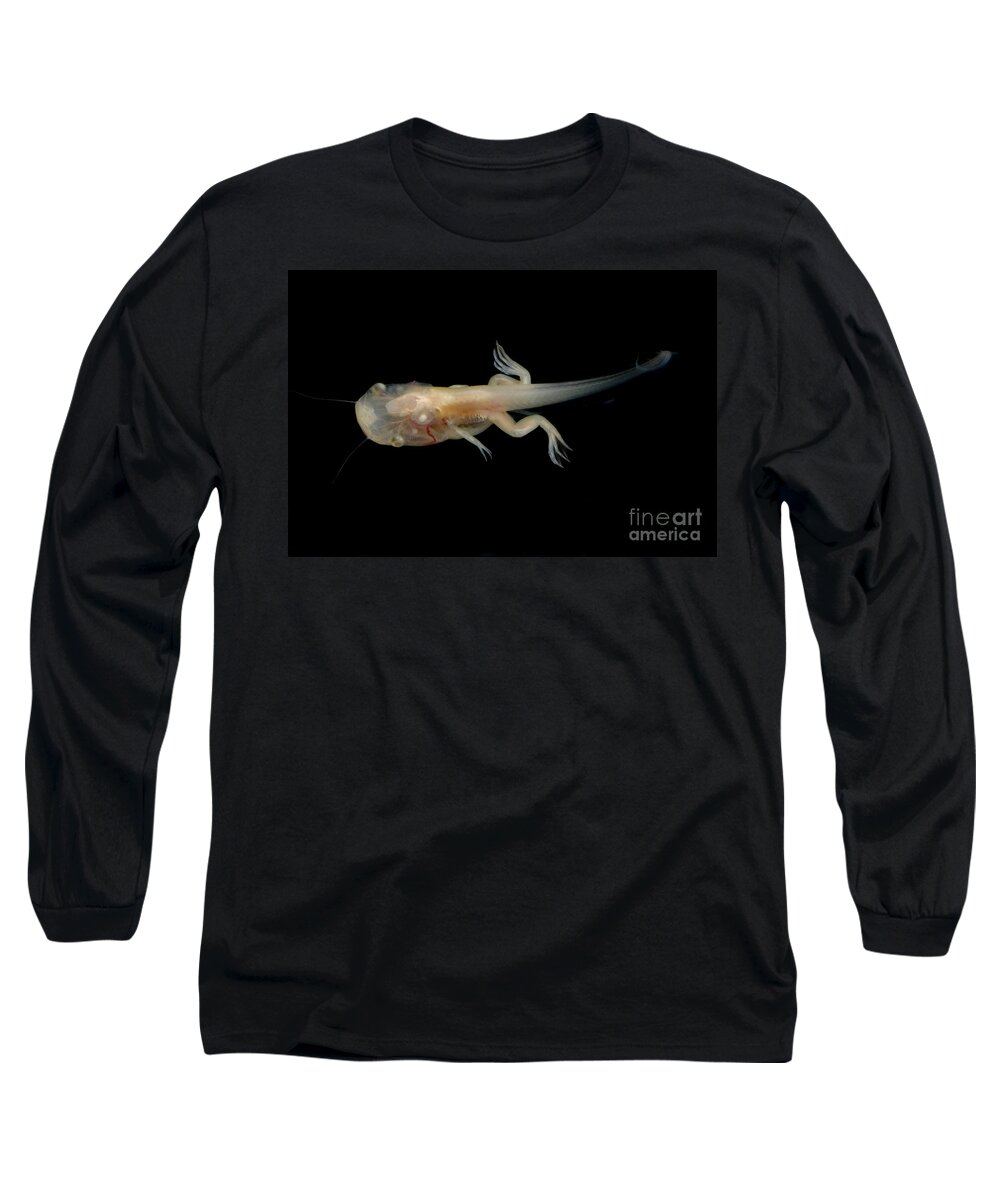 African Clawed Frog Long Sleeve T-Shirt featuring the photograph African Clawed Frog Tadpole #1 by Dante Fenolio