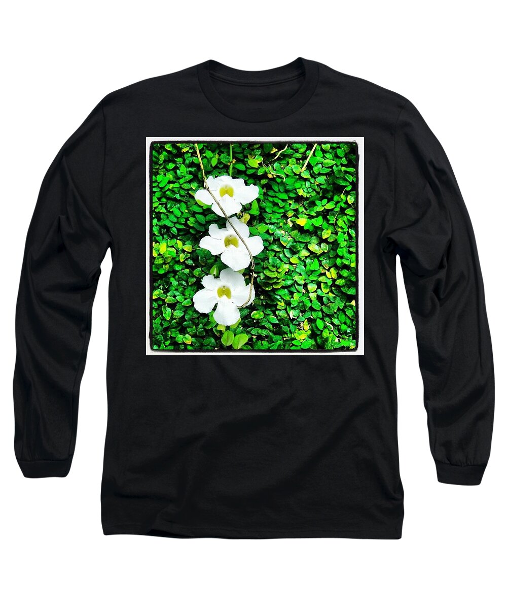  Long Sleeve T-Shirt featuring the photograph Flowers #1 by Lorelle Phoenix