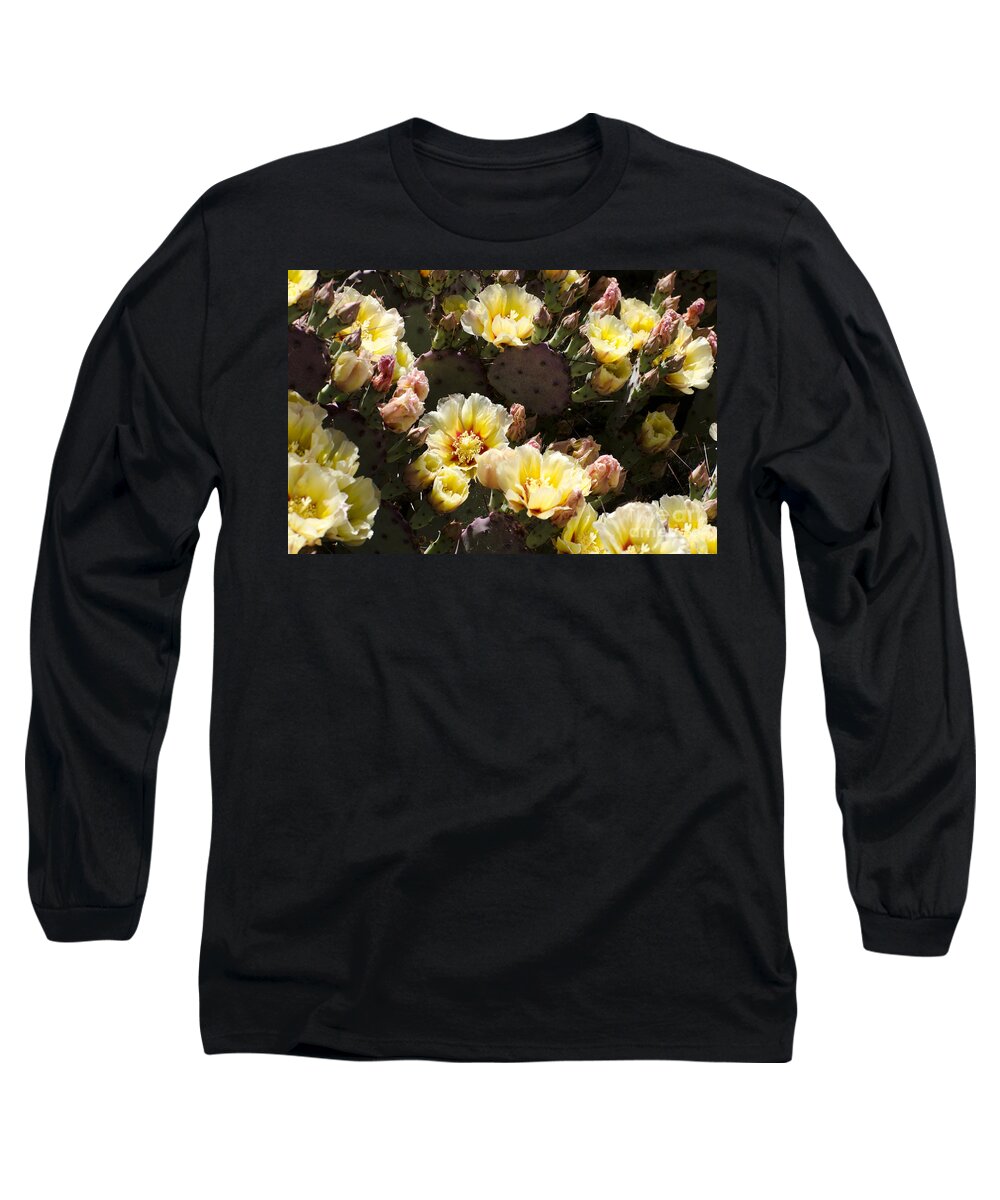Cactus Long Sleeve T-Shirt featuring the photograph Yellow cactus flowers #1 by Jim And Emily Bush