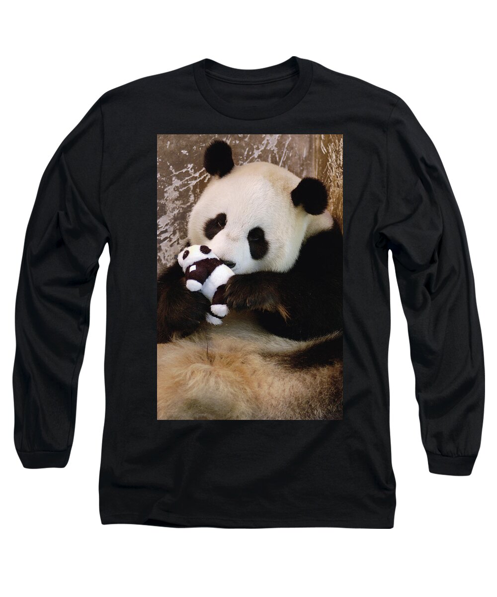 Mp Long Sleeve T-Shirt featuring the photograph Giant Panda Ailuropoda Melanoleuca #2 by Katherine Feng