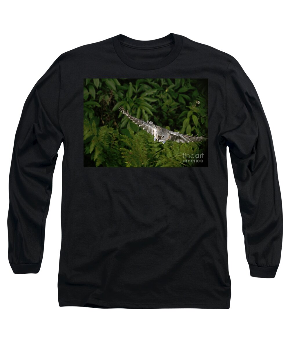 Songbirds Long Sleeve T-Shirt featuring the photograph Tufted Titmouse In Flight #5 by Ted Kinsman