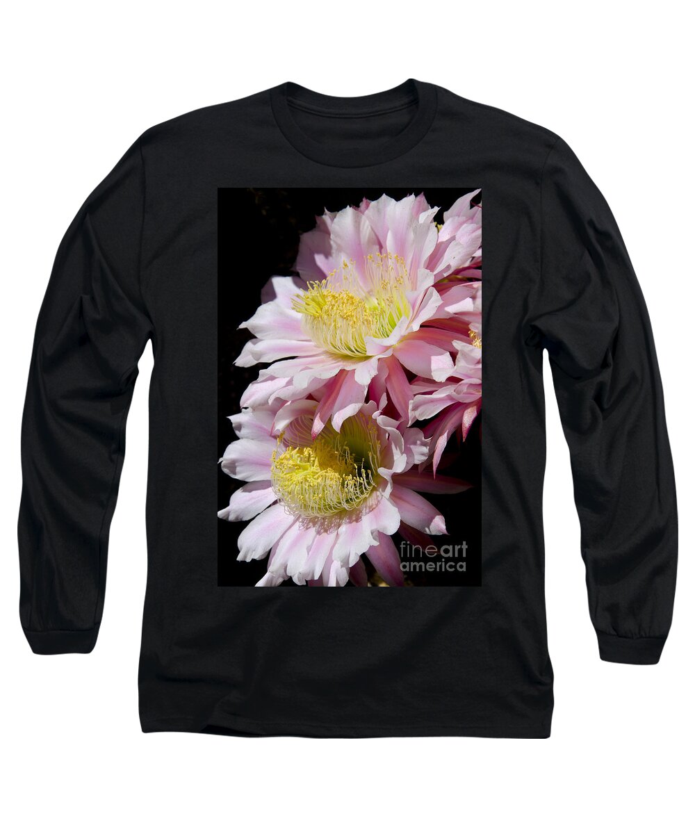 Cactus Long Sleeve T-Shirt featuring the photograph Pink cactus flowers #8 by Jim And Emily Bush